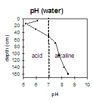 GRAPH: pH levels of soil site NE44