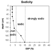 GRAPH: Sodicity of soil site NE44