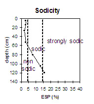 Graph: Sodicity levels in Site NE45