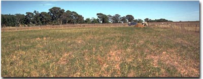 Photo: Typical landscape associated with the Stillards loam mapping unit