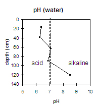 Graph: pH level in Site NE5