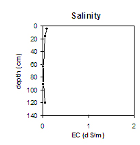 Graph: Salinity level in Site NE5