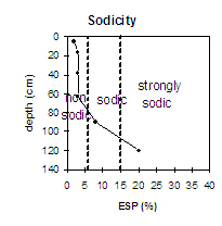 Graph: Sodicity level in Site NE5