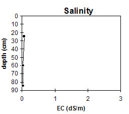 NE6 salinity graph
