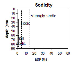 NE6 sodicity graph