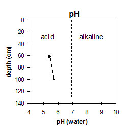NE7 pH graph