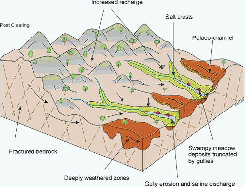 Post-clearing landscape model for the upper Bet Bet Creek catchment