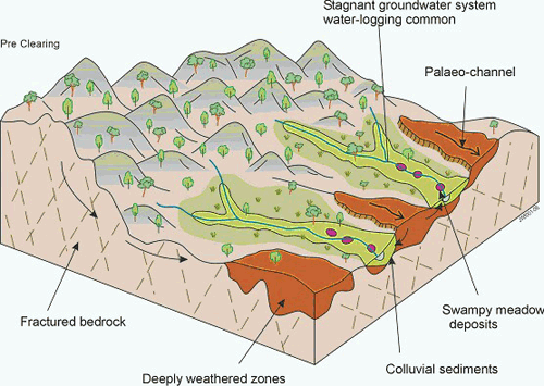 Pre-clearing landscape model for the upper Bet Bet Creek catchment