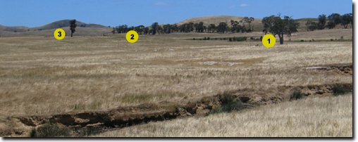 Photo:  Landscape Photo Bet Bet soil pits 1, 2 and 3