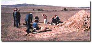 Photo: Soil Pit Field Day for Lexton Landcare Group (March 1995)
