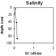 Graph: Soil Site LP109 Salinity levels