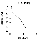 Graph: Soil Site LP110 Salinity levels