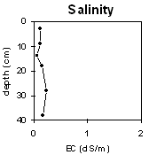 Graph: Soil Site LP112 Salinity levels