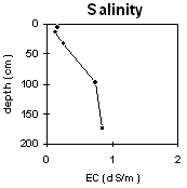 Graph: Soil Site LP113 Salnity