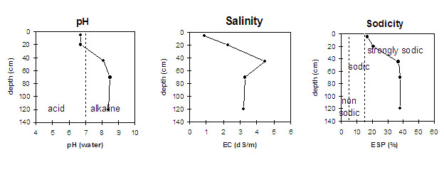 Graph: Sodicity levels in Site LP18