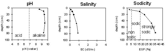 Graph: Sodicity levels in Site LP29