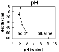 Graph: pH levels in Soil Pit Site LP38