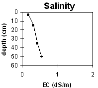 Graph: Salinity levels in Soil Pit Site LP38