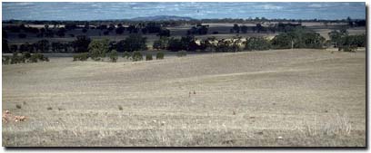 Photo: Soil Pit SIte LP39 Landscape