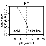 Graph: pH levels in Soil Pit Site LP40