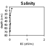 Graph: Salinity levels in Soil Pit Site LP40