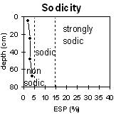 Graph: Sodicity levels in Soil Pit Site LP40