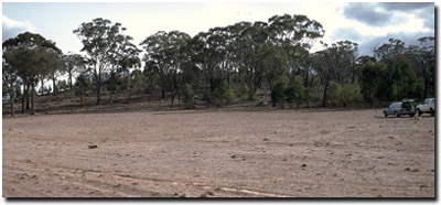 Photo: Soil Pit Site LP43 Landscape