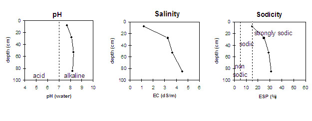 Graph: Sodicity levels in Site LP5