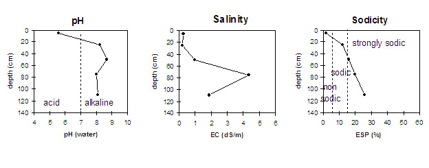 Graph: Sodicity levels in Site LP6