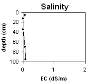 Graph: Site LP62 Salinity levels