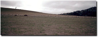 Photo: Soil Site LP64 Landscape