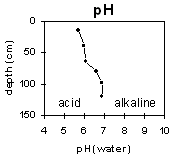 Graph: Soil Site LP64 pH levels