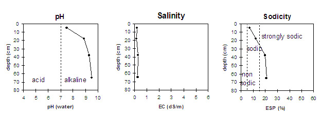 Graph: Sodicity levels in Site LP7