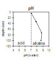 LP78 pH