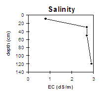 LP79 Salinity