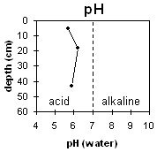 Graph: pH levels in Site LP83