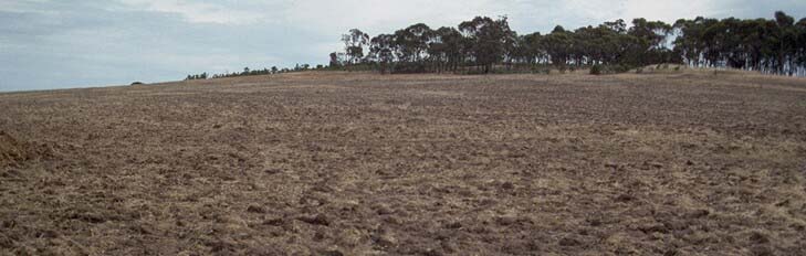 Photo: Soil Site LP97 Landscape