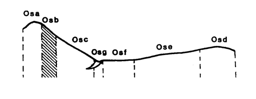 Land-form diagram for Marong map unit Osb