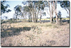 Photo: The Midland Highway forms one of the site boundaries (background)