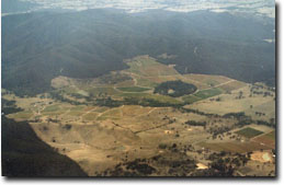 Photo:  Vineyards in the Pyrenees Ranges
