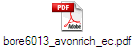 bore6013_avonrich_ec.pdf
