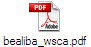 bealiba_wsca.pdf