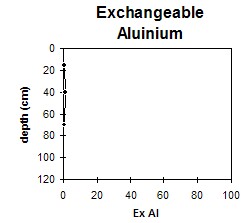 ASSS4 Exchangeable aluminium