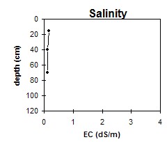 ASSS4 Salinity
