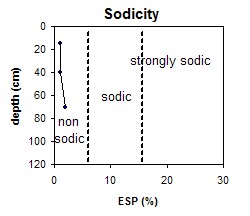 ASSS4 Sodicity