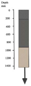 IMAGE: Dalmore Clay (non-peaty) typical soil profile
