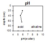GP52 pH