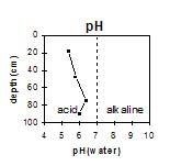 GP54 pH
