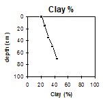 GP55 clay