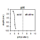 GP56 pH